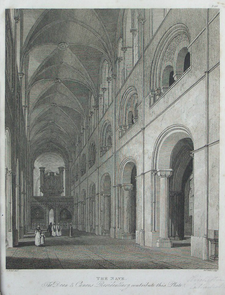Print - The Nave. The Dean & Canons Residentiary Contribute this Plate - Skelton